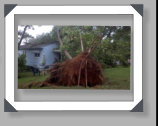 Photos of our Phoenix Glass equipment lending a helping hand clearing trees and brush debris after storms