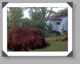 Photos of our Phoenix Glass equipment lending a helping hand clearing trees and brush debris after storms