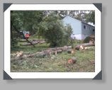 Photos of our Phoenix Glass equipment lending a helping hand clearing trees and brush debris after storms