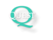 Quest Glass Claims Services